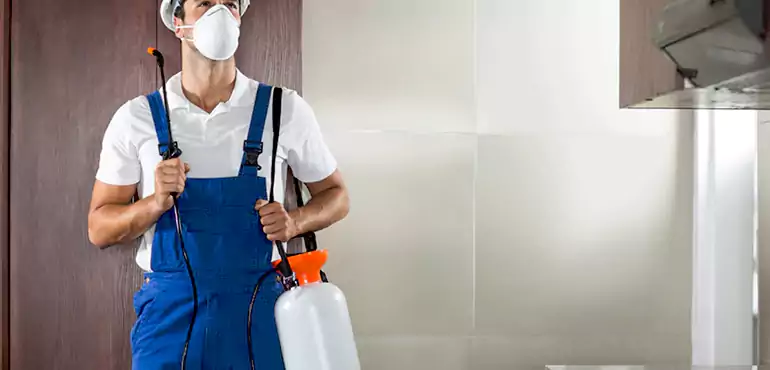 Why Hawaii Homeowners Choose Us When Pests Make Selling Difficult