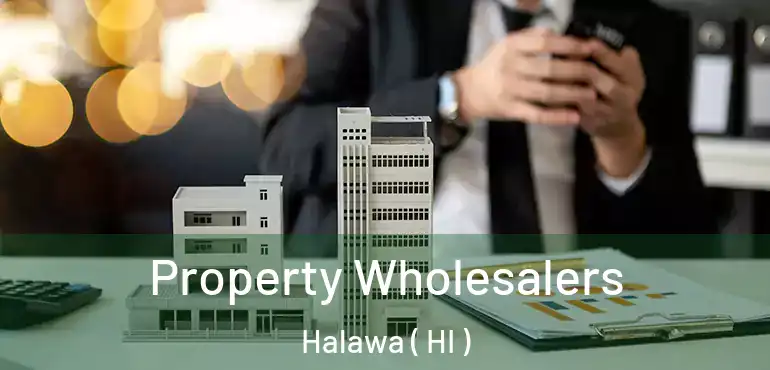  Property Wholesalers Halawa ( HI )