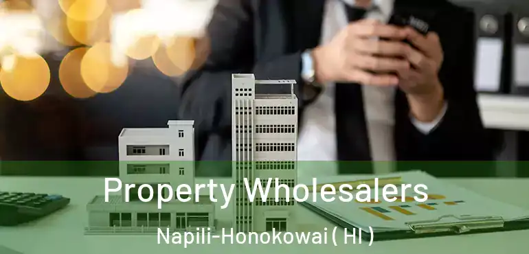  Property Wholesalers Napili-Honokowai ( HI )
