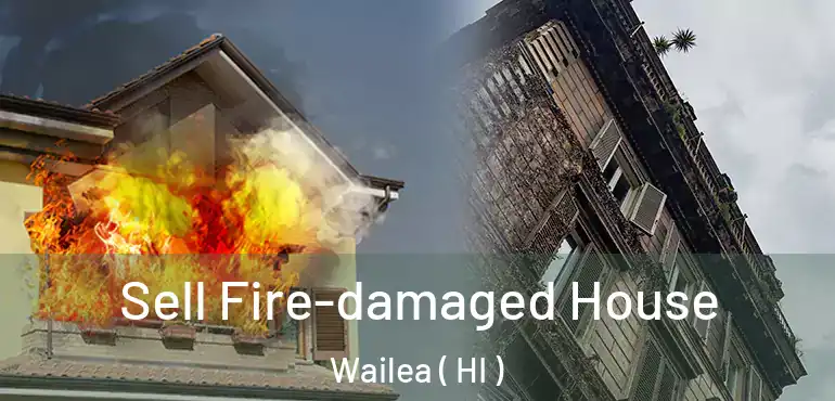  Sell Fire-damaged House Wailea ( HI )