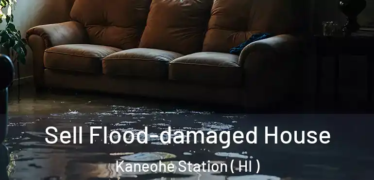  Sell Flood-damaged House Kaneohe Station ( HI )