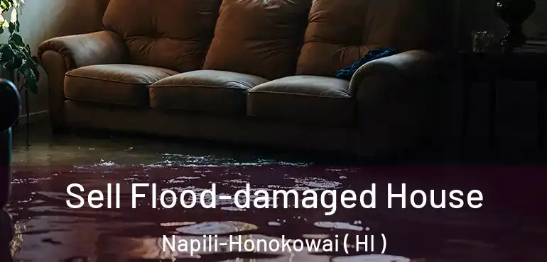  Sell Flood-damaged House Napili-Honokowai ( HI )