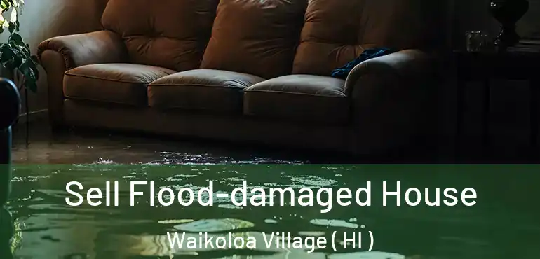  Sell Flood-damaged House Waikoloa Village ( HI )