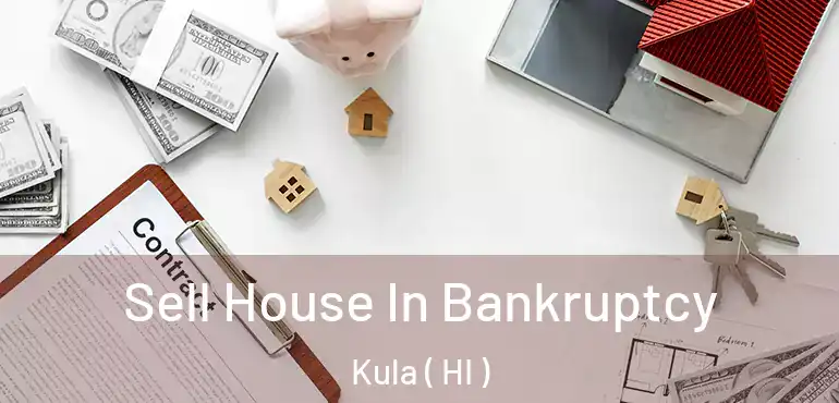  Sell House In Bankruptcy Kula ( HI )