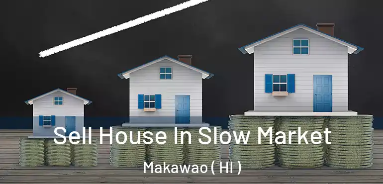  Sell House In Slow Market Makawao ( HI )
