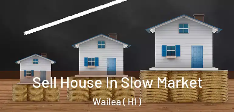  Sell House In Slow Market Wailea ( HI )