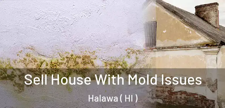  Sell House With Mold Issues Halawa ( HI )