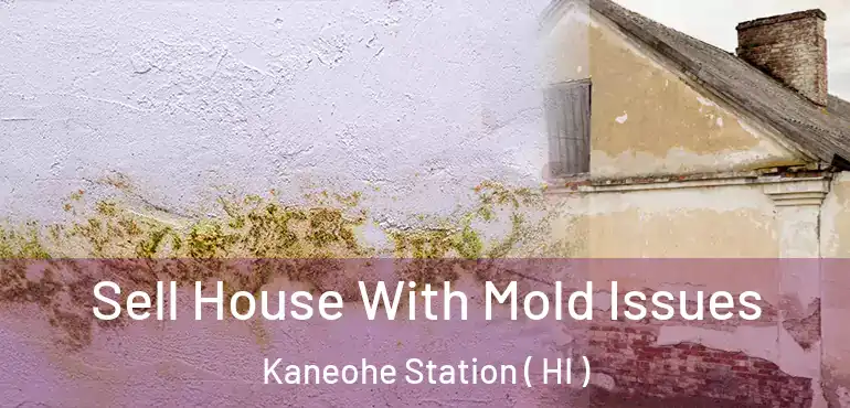  Sell House With Mold Issues Kaneohe Station ( HI )