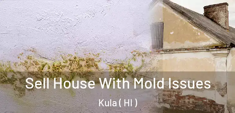  Sell House With Mold Issues Kula ( HI )