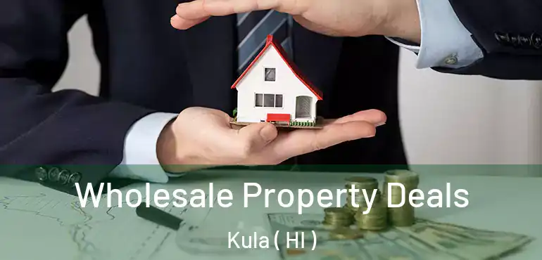  Wholesale Property Deals Kula ( HI )